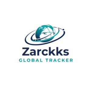 stylized globe with dynamic lines logo